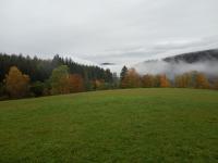 IMG_20231027_101230 (1024x768).jpg